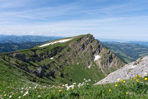 Hiking between Hochgrat Ridge and Rindalphorn - Scenic Alpine Landscape in Nagelfluhkette Bavaria