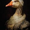 Elegantes Gänseporträt im Renaissance-Stil mit historischem Kragen von But First Framing