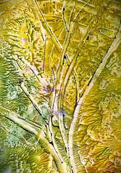 Spring Tree - Spring Tree