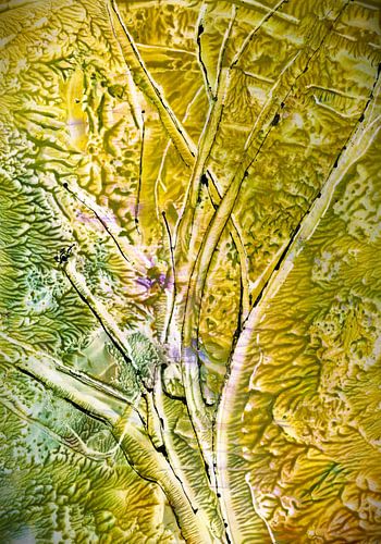 Spring Tree - Spring Tree