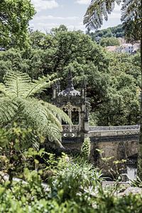 Quinta da Regaleira von Jessica Arends