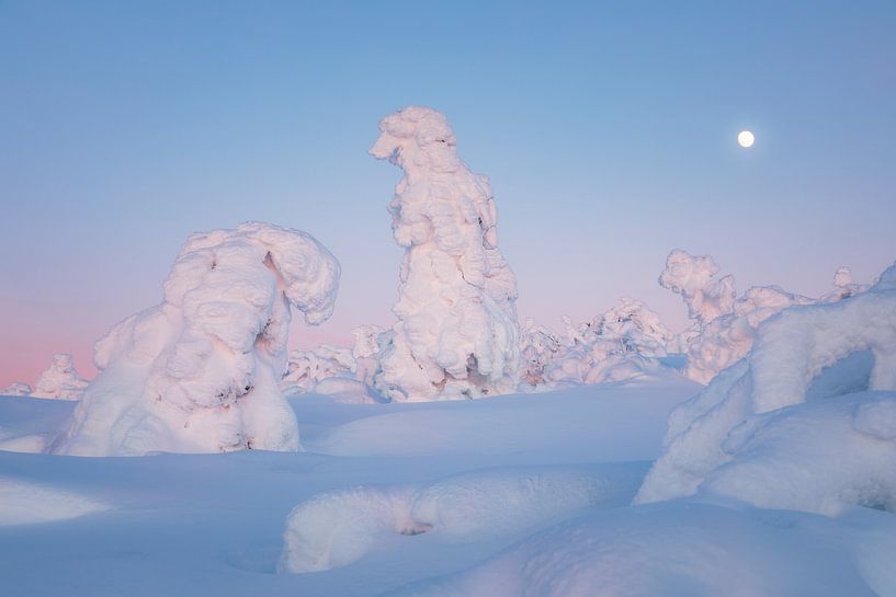 Sneeuwbollen in het blauwe uur van Daniela Beyer