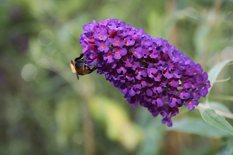 Récolte d'été - abeille sur une fleur violette par Masterpiece Living