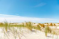 Duinen van Vlieland. van Ron van der Stappen thumbnail