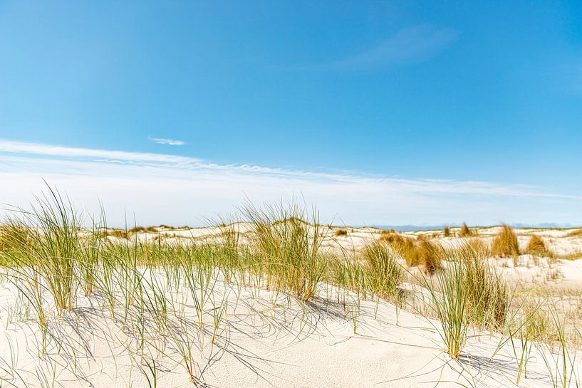 Duinen van Vlieland. van Ron van der Stappen