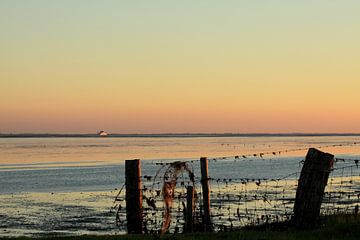 Ameland/Kooikersdunen bei Sonnenuntergang von Rinnie Wijnstra