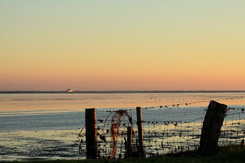 Ameland/Kooikersdunen bij zonsondergang