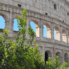 Coliseum in Rome by Esther