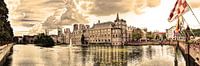 Binnenhof in Den Haag Nederland van Hendrik-Jan Kornelis thumbnail