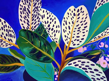 Souviens-toi du soleil