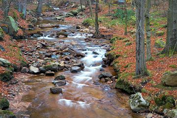 De rivier de Ilse in het Harz Nationaal Park van Heiko Kueverling