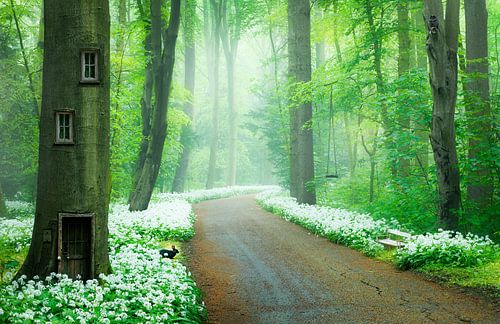 Kabouter huisje in lente bos