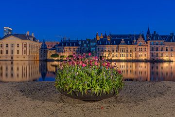 The Hofvijver in The Hague with Tulips by Dennisart Fotografie