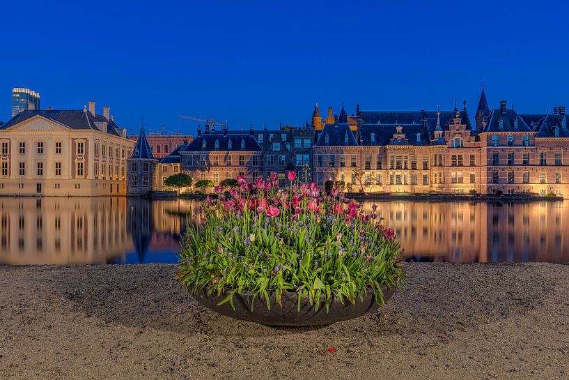 Der Hofvijver in Den Haag mit Tulpen von Dennisart Fotografie