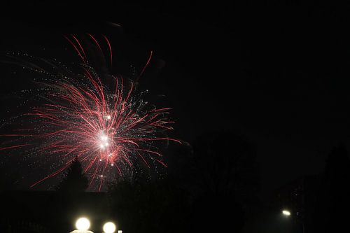 Feuerwerk über Hamburg