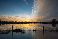 De Rijn bij Oosterbeek #002