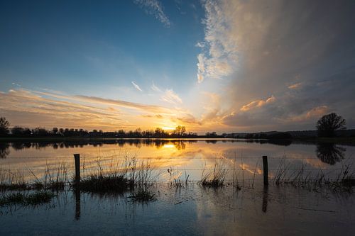 The Rhine near Oosterbeek #002