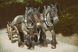 Die gute alte Zeit von Dieter Beselt