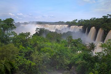 Iguazu falls jungle van BL Photography