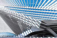 Gare de Liège-Guillemins.