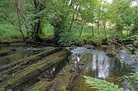 Fowley's Falls in Irland von Babetts Bildergalerie Miniaturansicht