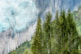 Jostedal: tree line at glacier by mirjam.zen