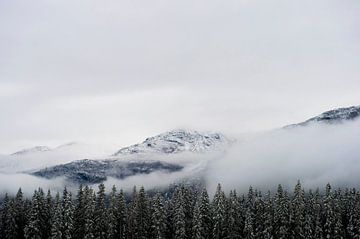 Sneeuw en bewolking - Hemsedalsfjellet, Noorwegen