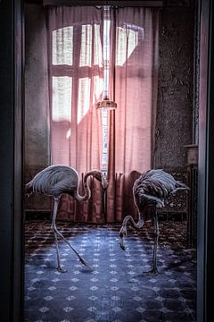 twee flamingos in een roze kamer