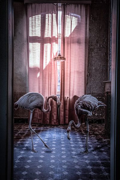 twee flamingos in een roze kamer van Els Casaert