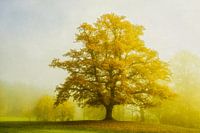 The Yellow King