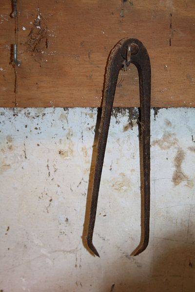 Tang in de werkplaats von Jetty Boterhoek