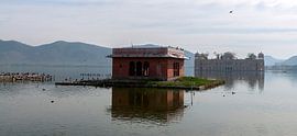 Jaipur: Jal Mahal Palace von Maarten Verhees