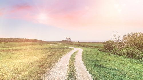 Wandelpad duinen, Texel