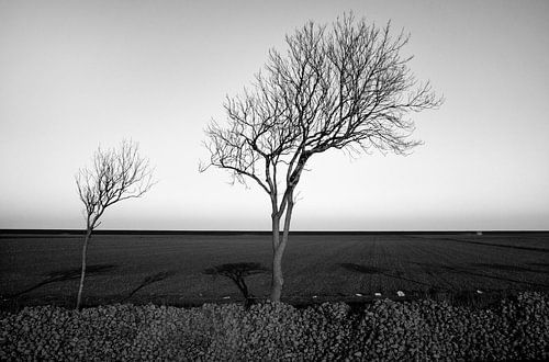 Minimalisme sur le haut plateau de Groningue (3) sur Bo Scheeringa Photography