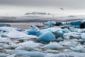 Eisformationen vor einem großen Gletscher in Island von Ralf Lehmann