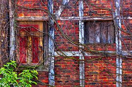 Fachwerk von Caroline Lichthart