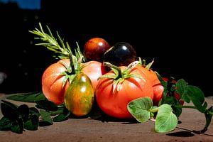 still life, tomatoes and herbs by chris mees