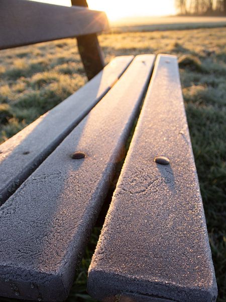 der Weg nach morgen (2) von Lonneke Collewijn