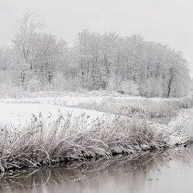 Serene rust. van Alie Ekkelenkamp