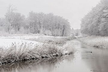 Calme serein. sur Alie Ekkelenkamp