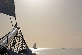 Sailing home by Yvonne Steenbergen