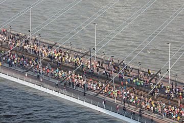 Beginn des Marathons auf der Erasmusbrücke in Rotterdam