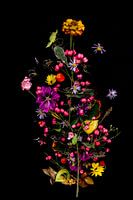 Flowerportet (autumn)
