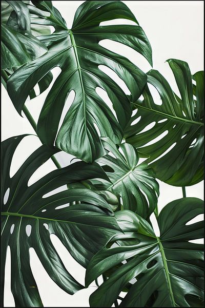 Monstera leaves - Tropical art print by Poster Art Shop