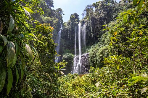 Sekumpul waterval, groene kloof in Buleleng, Bali, Indonesië