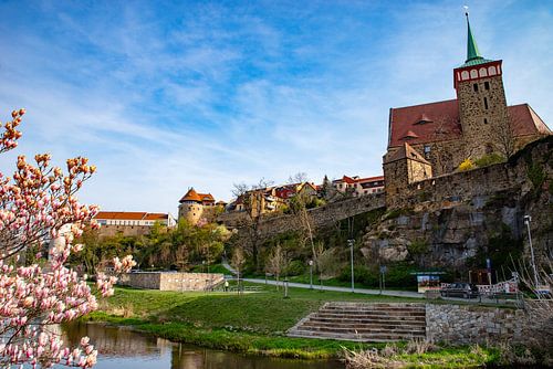 Splendeur des fleurs et bastion du printemps à Bautzen