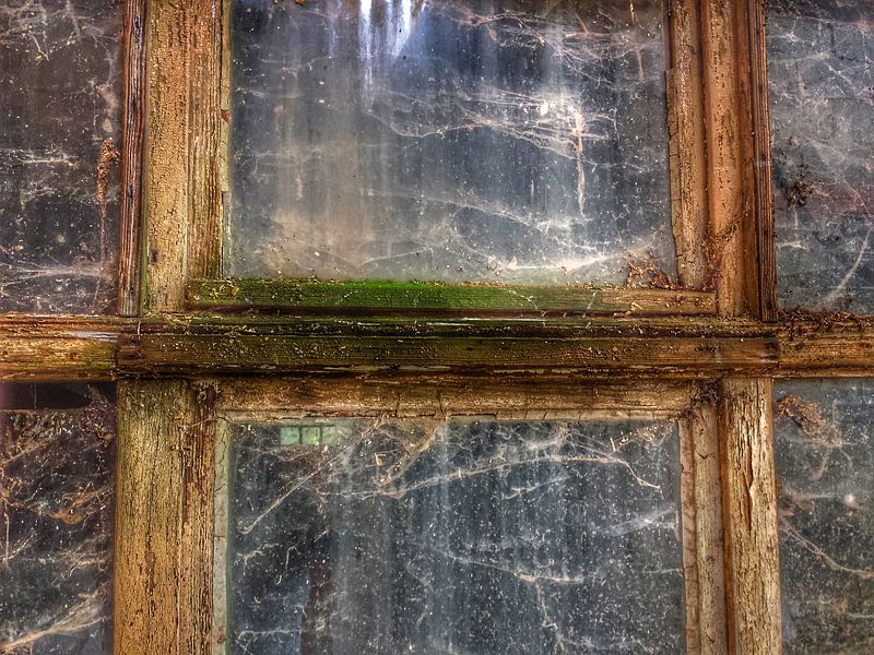 Fenster by Andrea Meister
