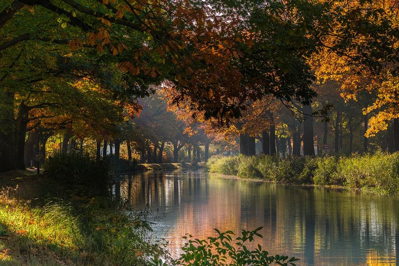 Herfstkleuren bij het kanaal van Michel Knikker