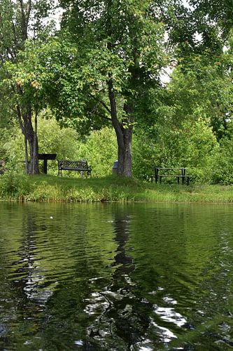 The park's pond in summer