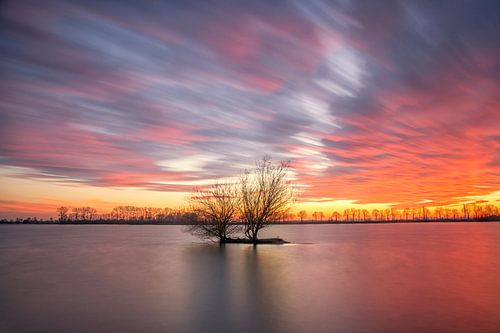 Waterplas met boom tijdens zonsondergang